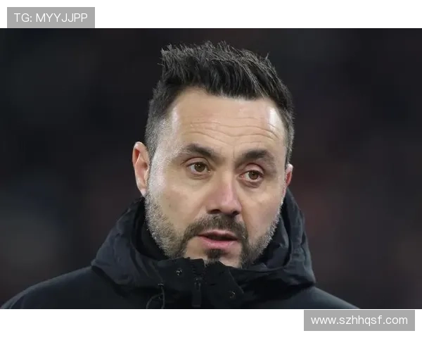 热刺球迷反对德泽尔比任命 热刺球迷反对德泽尔比任命